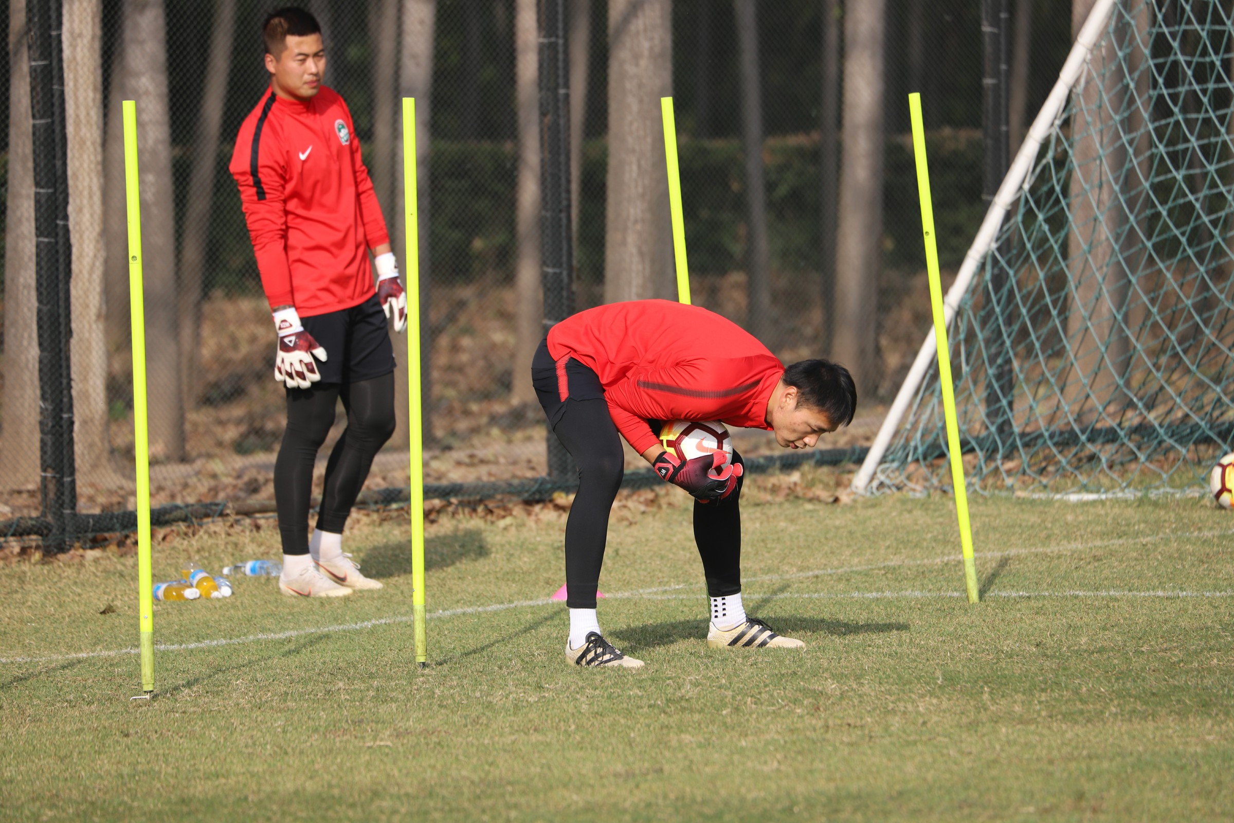 英雄联盟S15比赛时间-夏洛特黄蜂发布备战花絮，清晨复出首秀，西甲任务艰巨，训练强度明显提升(夏洛的网课后题及答案)